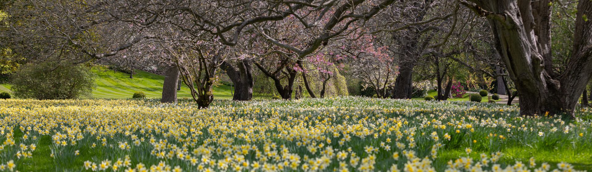 Our Grounds