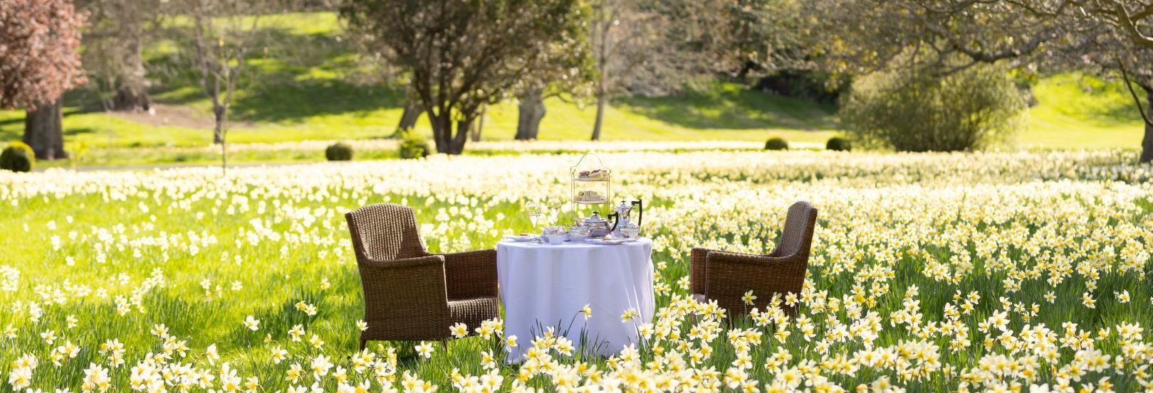 High Tea