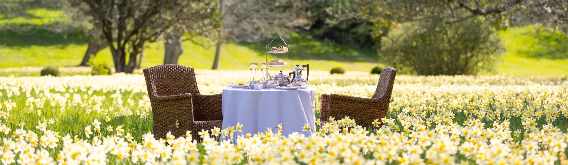 Spring Package
